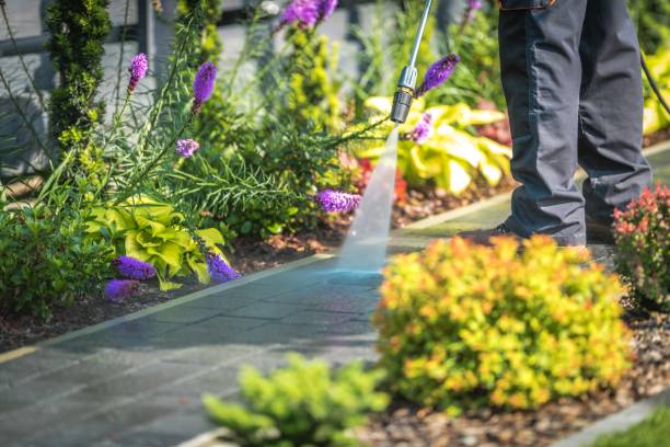 Best Animal Enclosure Cleaning  in Brownsboro, TX